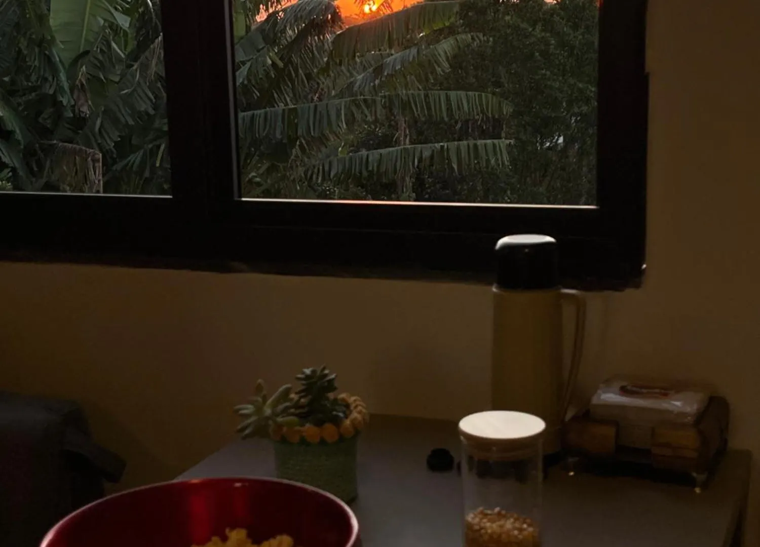 Appartement Ap Studio Praia Campeche à Florianópolis