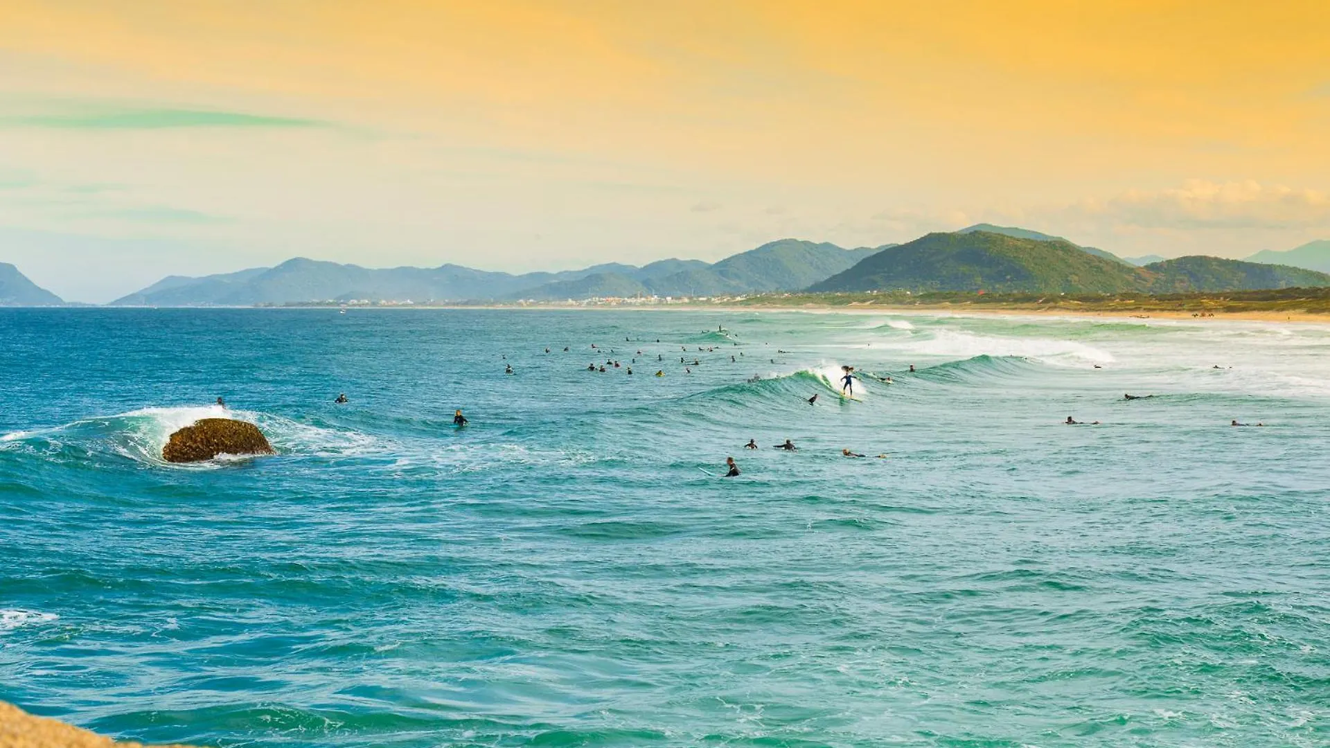 Appartement Ap Studio Praia Campeche à Florianópolis